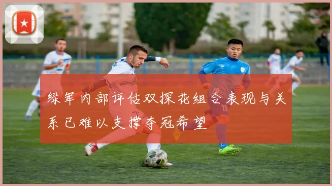绿军内部评估双探花组合表现与关系已难以支撑夺冠希望