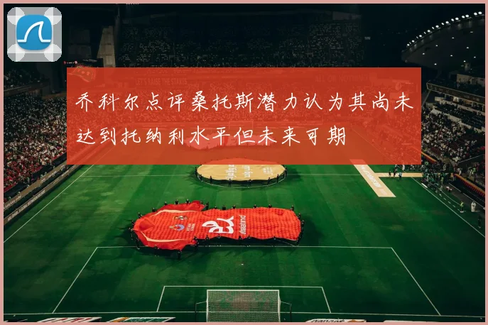 乔科尔点评桑托斯潜力认为其尚未达到托纳利水平但未来可期